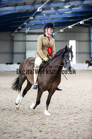 NECWPCA-SUMMER-WELSH-SILVER-MEDAL-SHOW (178 of 325)