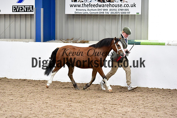 NECWPCA-SUMMER-WELSH-SILVER-MEDAL-SHOW (5 of 54)