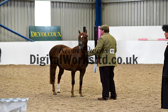 NECWPCA-SUMMER-WELSH-SILVER-MEDAL-SHOW (4 of 75)