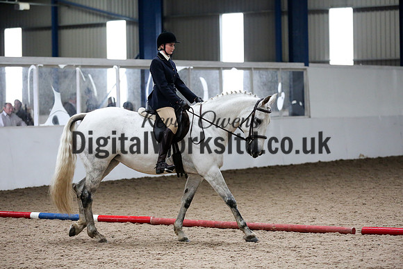 NECWPCA-SUMMER-WELSH-SILVER-MEDAL-SHOW (88 of 315)