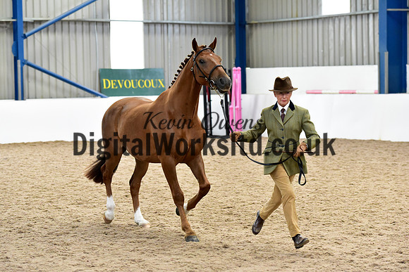 NECWPCA-SUMMER-WELSH-SILVER-MEDAL-SHOW (9 of 61)