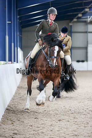NECWPCA-SUMMER-WELSH-SILVER-MEDAL-SHOW (188 of 325)