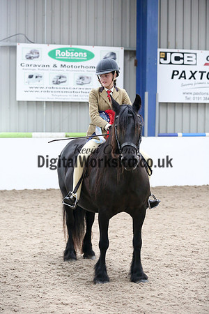 NECWPCA-SUMMER-WELSH-SILVER-MEDAL-SHOW (153 of 315)
