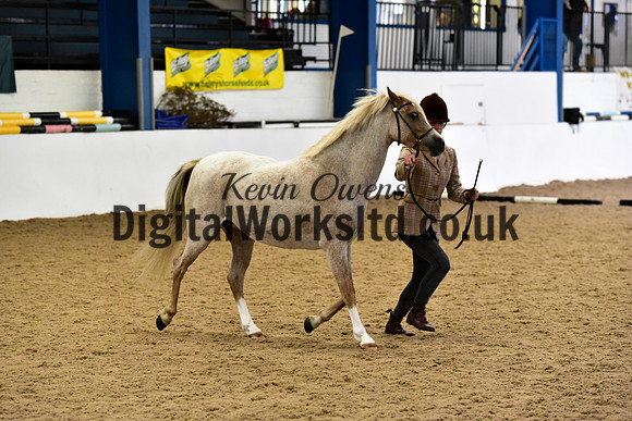 NECWPCA-SUMMER-WELSH-SILVER-MEDAL-SHOW (32 of 61)
