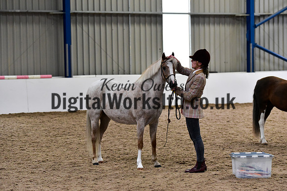 NECWPCA-SUMMER-WELSH-SILVER-MEDAL-SHOW (34 of 61)
