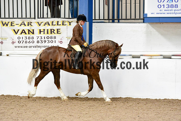 NECWPCA-SUMMER-WELSH-SILVER-MEDAL-SHOW (62 of 92)