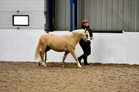 NECWPCA-SUMMER-WELSH-SILVER-MEDAL-SHOW (8 of 412)