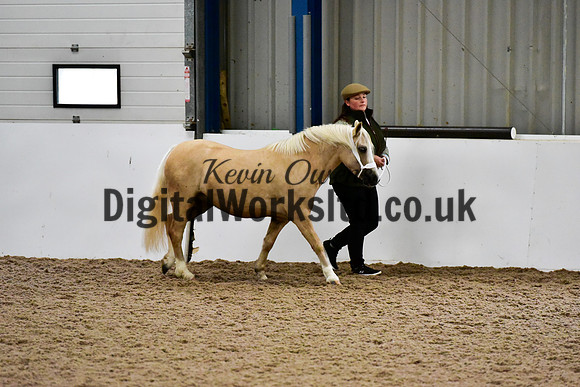 NECWPCA-SUMMER-WELSH-SILVER-MEDAL-SHOW (8 of 412)
