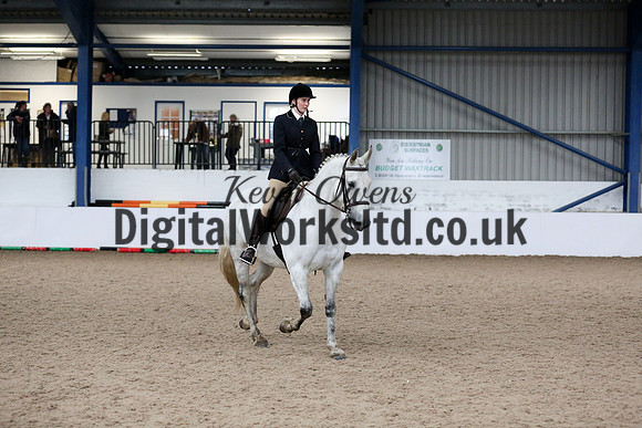 NECWPCA-SUMMER-WELSH-SILVER-MEDAL-SHOW (52 of 315)