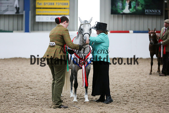NECWPCA-SUMMER-WELSH-SILVER-MEDAL-SHOW (1 of 159)