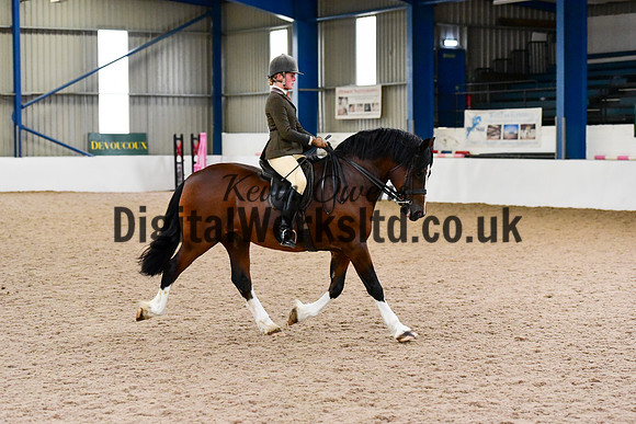 NECWPCA-SUMMER-WELSH-SILVER-MEDAL-SHOW (8 of 100)
