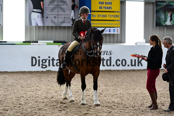 NECWPCA-SUMMER-WELSH-SILVER-MEDAL-SHOW (90 of 92)