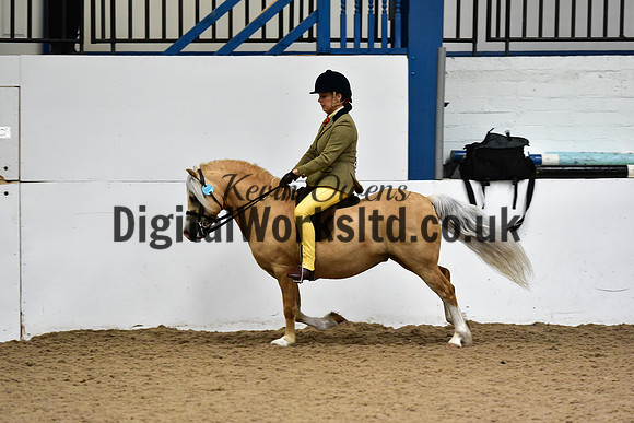NECWPCA-SUMMER-WELSH-SILVER-MEDAL-SHOW (197 of 325)