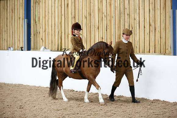 NECWPCA-SUMMER-WELSH-SILVER-MEDAL-SHOW (88 of 325)