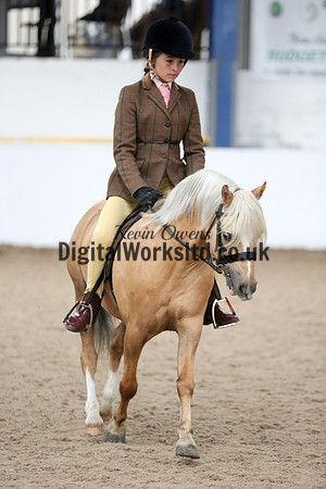 NECWPCA-SUMMER-WELSH-SILVER-MEDAL-SHOW (42 of 325)