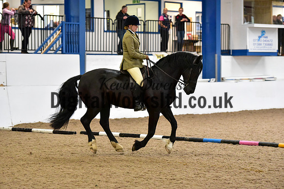 NECWPCA-SUMMER-WELSH-SILVER-MEDAL-SHOW (51 of 315)