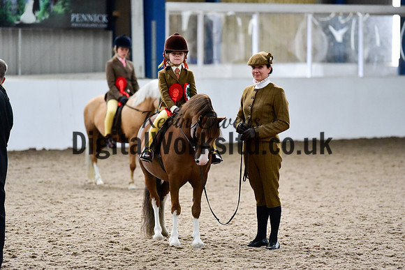NECWPCA-SUMMER-WELSH-SILVER-MEDAL-SHOW (88 of 92)