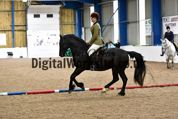 NECWPCA-SUMMER-WELSH-SILVER-MEDAL-SHOW (62 of 315)