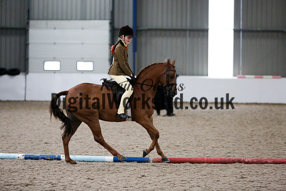 NECWPCA-SUMMER-WELSH-SILVER-MEDAL-SHOW (62 of 325)