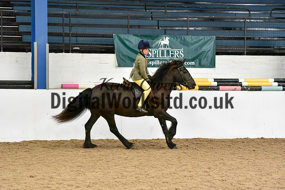 NECWPCA-SUMMER-WELSH-SILVER-MEDAL-SHOW (67 of 419)