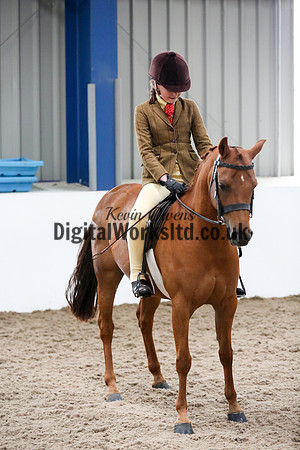 NECWPCA-SUMMER-WELSH-SILVER-MEDAL-SHOW (17 of 334)