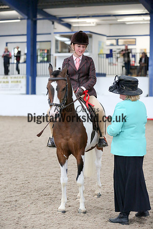 NECWPCA-SUMMER-WELSH-SILVER-MEDAL-SHOW (80 of 419)
