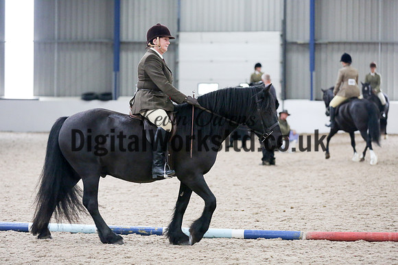 NECWPCA-SUMMER-WELSH-SILVER-MEDAL-SHOW (85 of 315)