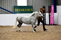 NECWPCA-SUMMER-WELSH-SILVER-MEDAL-SHOW (14 of 412)