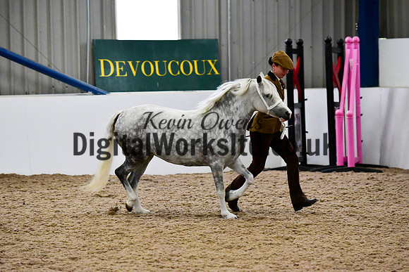 NECWPCA-SUMMER-WELSH-SILVER-MEDAL-SHOW (14 of 412)