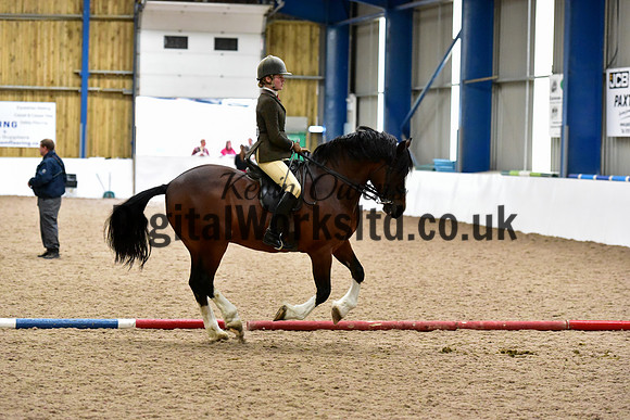 NECWPCA-SUMMER-WELSH-SILVER-MEDAL-SHOW (147 of 325)