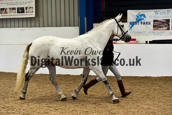 NECWPCA-SUMMER-WELSH-SILVER-MEDAL-SHOW (57 of 61)