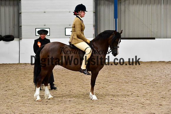NECWPCA-SUMMER-WELSH-SILVER-MEDAL-SHOW (76 of 419)