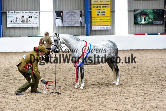 NECWPCA-SUMMER-WELSH-SILVER-MEDAL-SHOW (14 of 159)