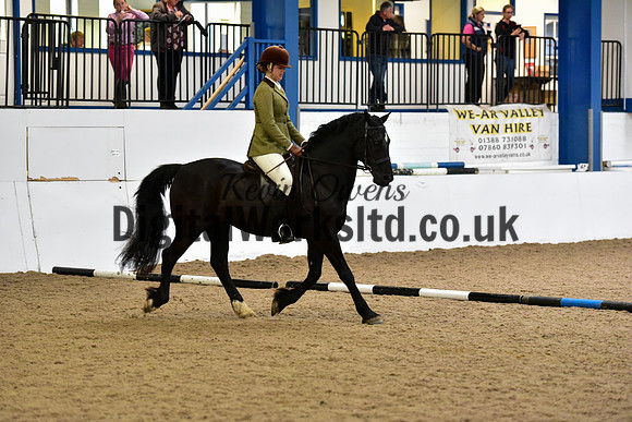 NECWPCA-SUMMER-WELSH-SILVER-MEDAL-SHOW (41 of 315)