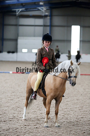 NECWPCA-SUMMER-WELSH-SILVER-MEDAL-SHOW (49 of 325)