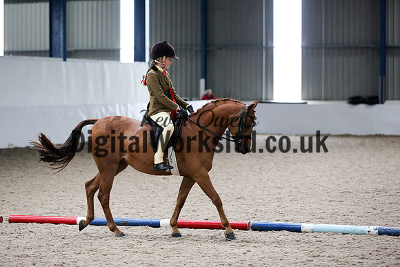 NECWPCA-SUMMER-WELSH-SILVER-MEDAL-SHOW (76 of 315)