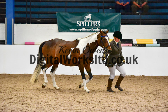 NECWPCA-SUMMER-WELSH-SILVER-MEDAL-SHOW (33 of 150)