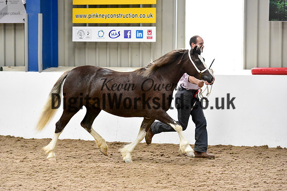NECWPCA-SUMMER-WELSH-SILVER-MEDAL-SHOW (17 of 46)