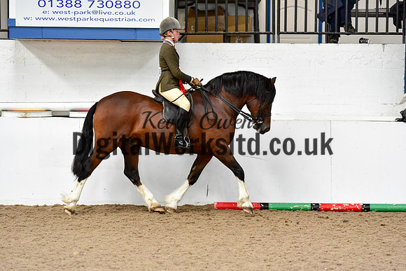 NECWPCA-SUMMER-WELSH-SILVER-MEDAL-SHOW (67 of 92)