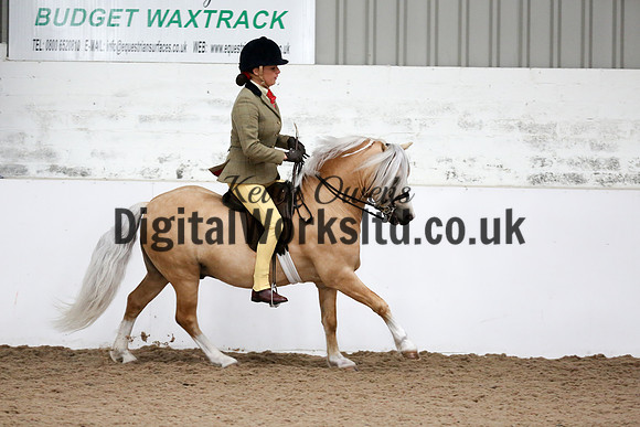 NECWPCA-SUMMER-WELSH-SILVER-MEDAL-SHOW (214 of 315)