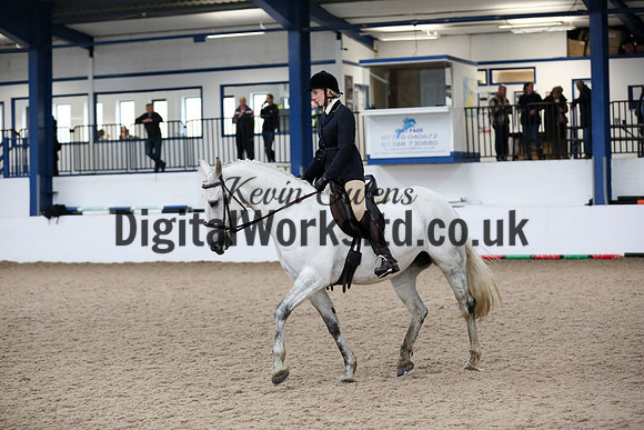 NECWPCA-SUMMER-WELSH-SILVER-MEDAL-SHOW (59 of 315)