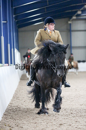 NECWPCA-SUMMER-WELSH-SILVER-MEDAL-SHOW (180 of 325)