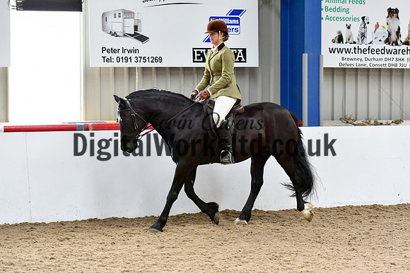 NECWPCA-SUMMER-WELSH-SILVER-MEDAL-SHOW (40 of 92)
