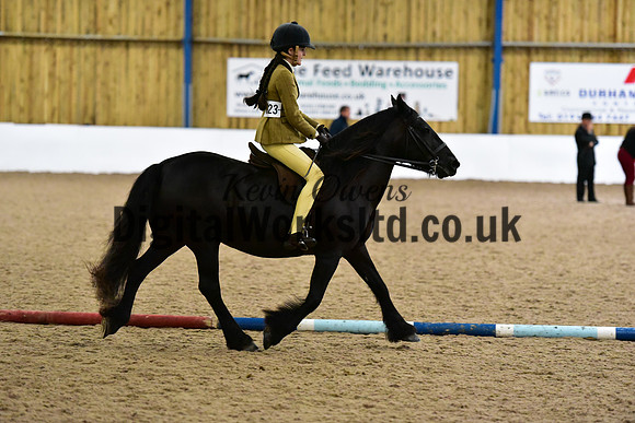 NECWPCA-SUMMER-WELSH-SILVER-MEDAL-SHOW (24 of 325)