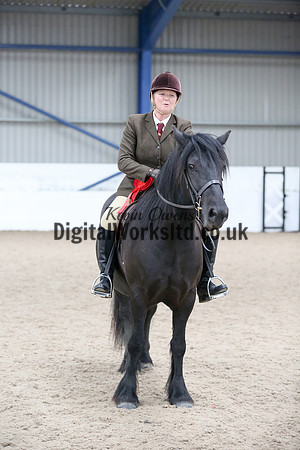 NECWPCA-SUMMER-WELSH-SILVER-MEDAL-SHOW (53 of 419)
