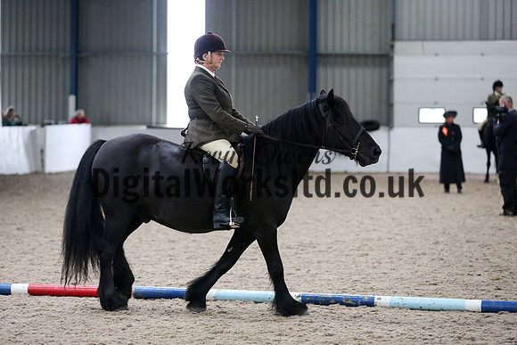 NECWPCA-SUMMER-WELSH-SILVER-MEDAL-SHOW (84 of 315)