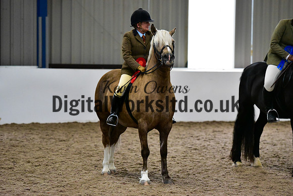 NECWPCA-SUMMER-WELSH-SILVER-MEDAL-SHOW (61 of 325)