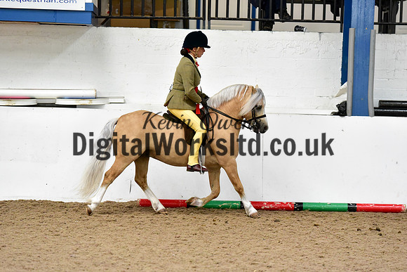 NECWPCA-SUMMER-WELSH-SILVER-MEDAL-SHOW (61 of 92)