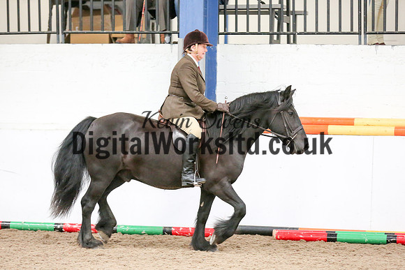 NECWPCA-SUMMER-WELSH-SILVER-MEDAL-SHOW (33 of 419)