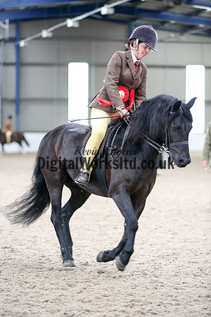 NECWPCA-SUMMER-WELSH-SILVER-MEDAL-SHOW (171 of 325)